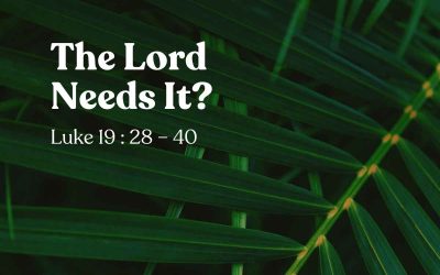 13 April 2025 – Sermon Discussion Questions