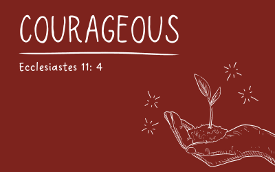 16 August 2026 – Sermon Discussion Questions