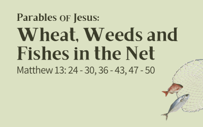18 October 2026 – Sermon Discussion Questions