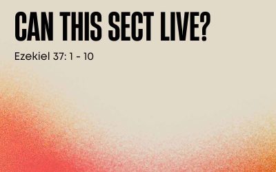 24 May 2026 – Sermon Discussion Questions