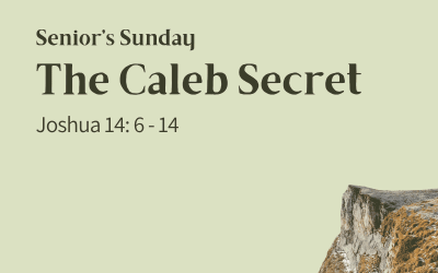 25 October 2026 – Sermon Discussion Questions