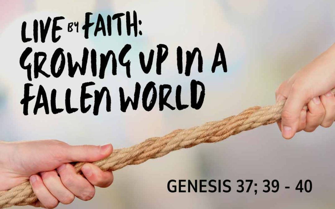 28 June 2026 – Sermon Discussion Questions