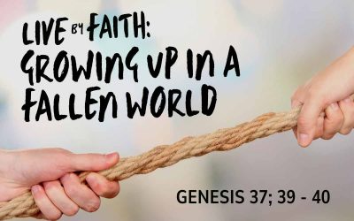 28 June 2026 – Sermon Discussion Questions