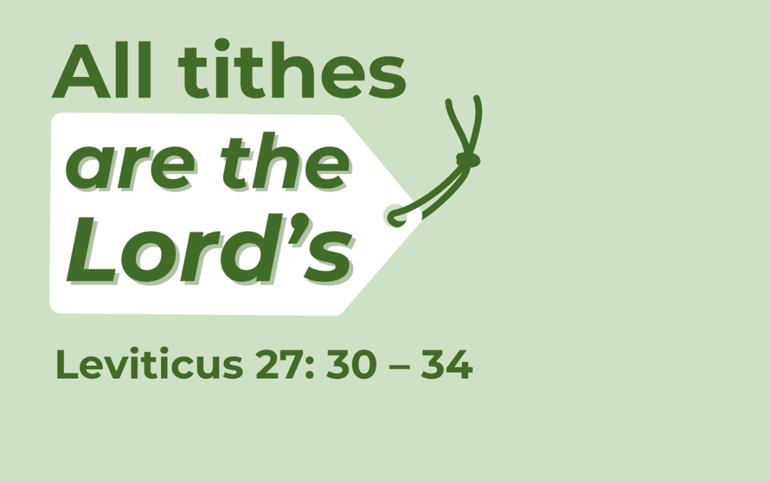 3 August 2025 – Sermon Discussion Questions