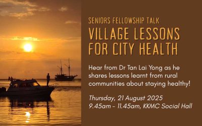 Seniors Fellowship: Village Lessons for City Health
